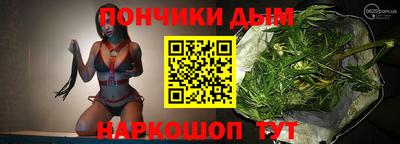 шишки Будённовск