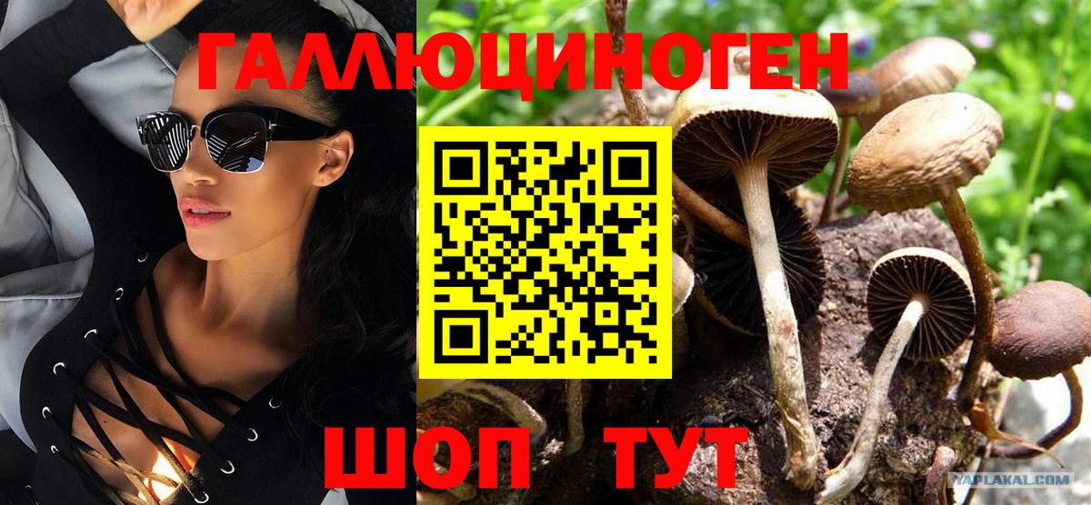 Галлюциногенные грибы Cubensis  Вход с VPN  Галлюциногенные грибы мицелий  Коряжма 