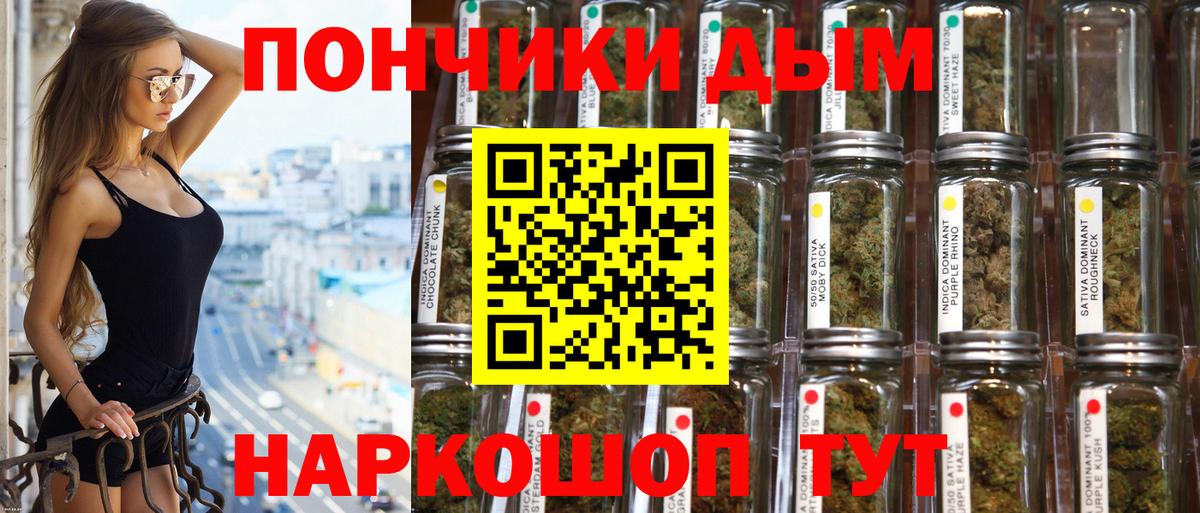 Канабис марихуана Коряжма